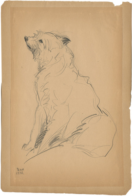 Ватагин Василий Алексеевич. Джали